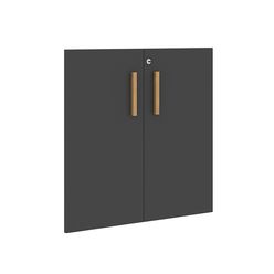 Двери Skyland FORTA FLD 40-2(Z) черный графит