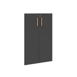 Двери Skyland FORTA FMD 40-2(Z) черный графит